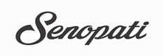 Logo Senapan Senopati