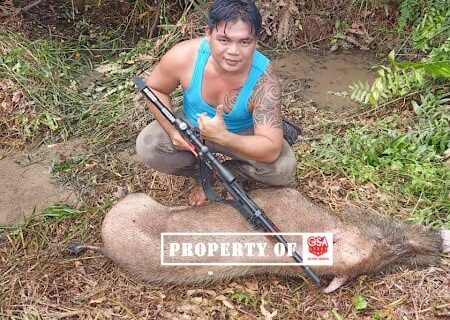 6 Senapan Angin Terbaik Untuk Berburu Babi