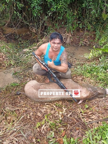 senapan berburu babi hutan