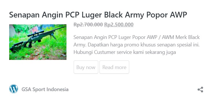 PCP Ruger Black Army Single Shoot