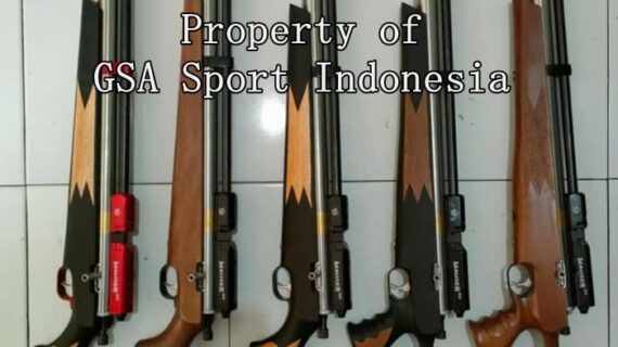 Jual Senapan Angin Kabupaten Pacitan
