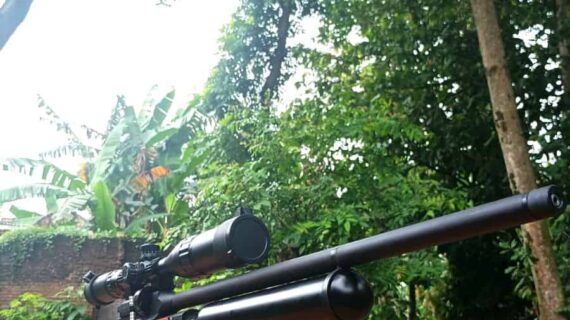 Jual Senapan Angin Kabupaten Sidoarjo