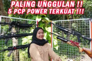5 Senapan Angin PCP Terbaik untuk Kompetisi dan Berburu Big Game