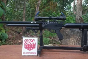 Jual Senapan Angin Ketapang